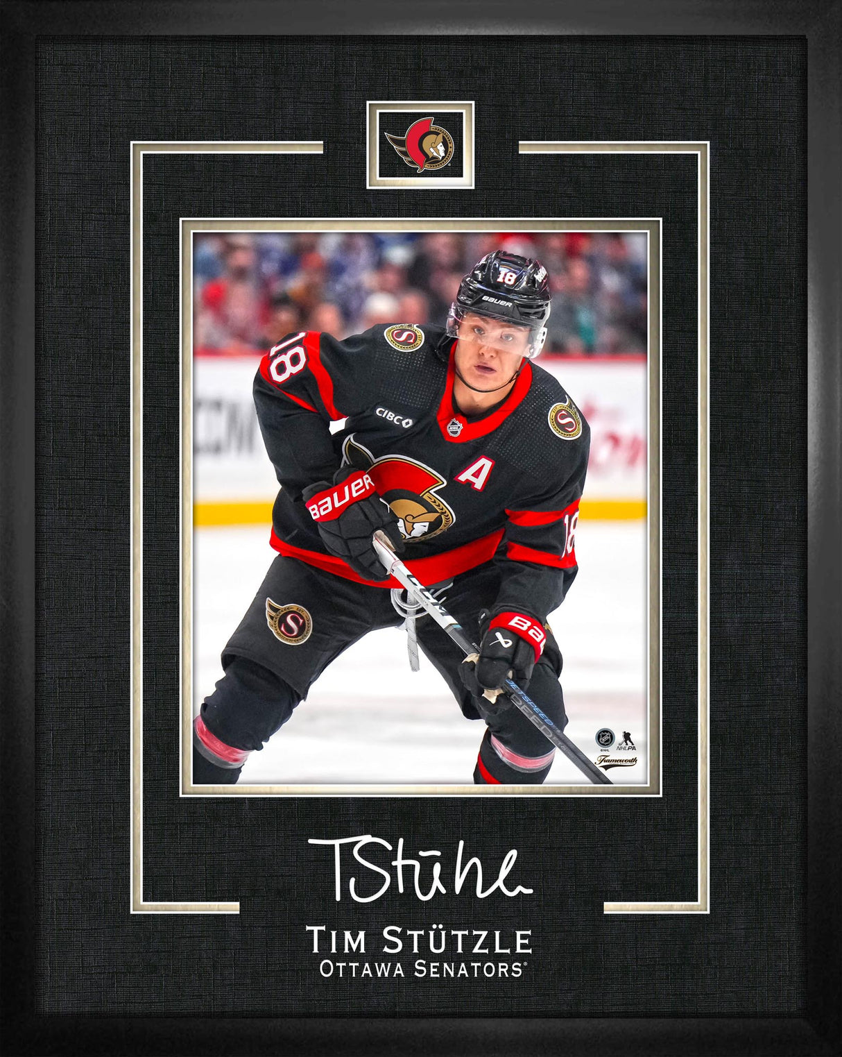 Tim Stutzle 16x20 Replica Signature Frame Senators