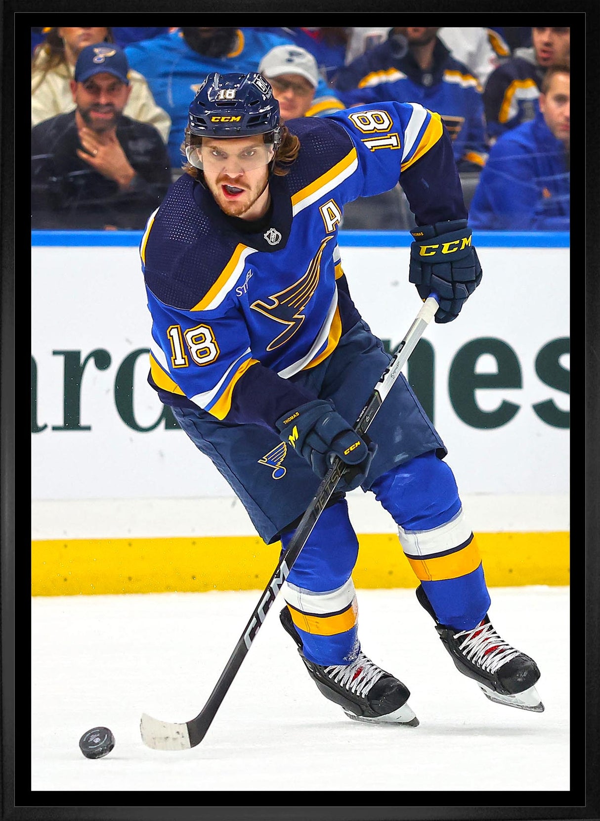 Robert Thomas 20x29 Framed Canvas St. Louis Blues