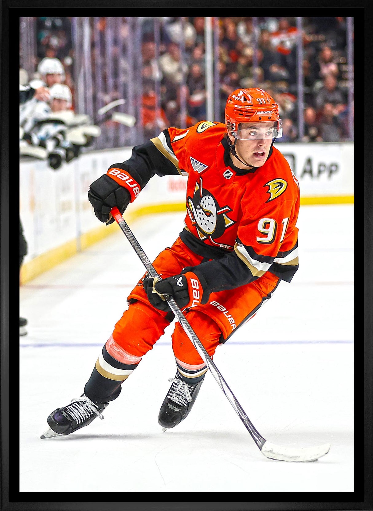 Leo Carlsson 20x29 Framed Canvas Anaheim Ducks