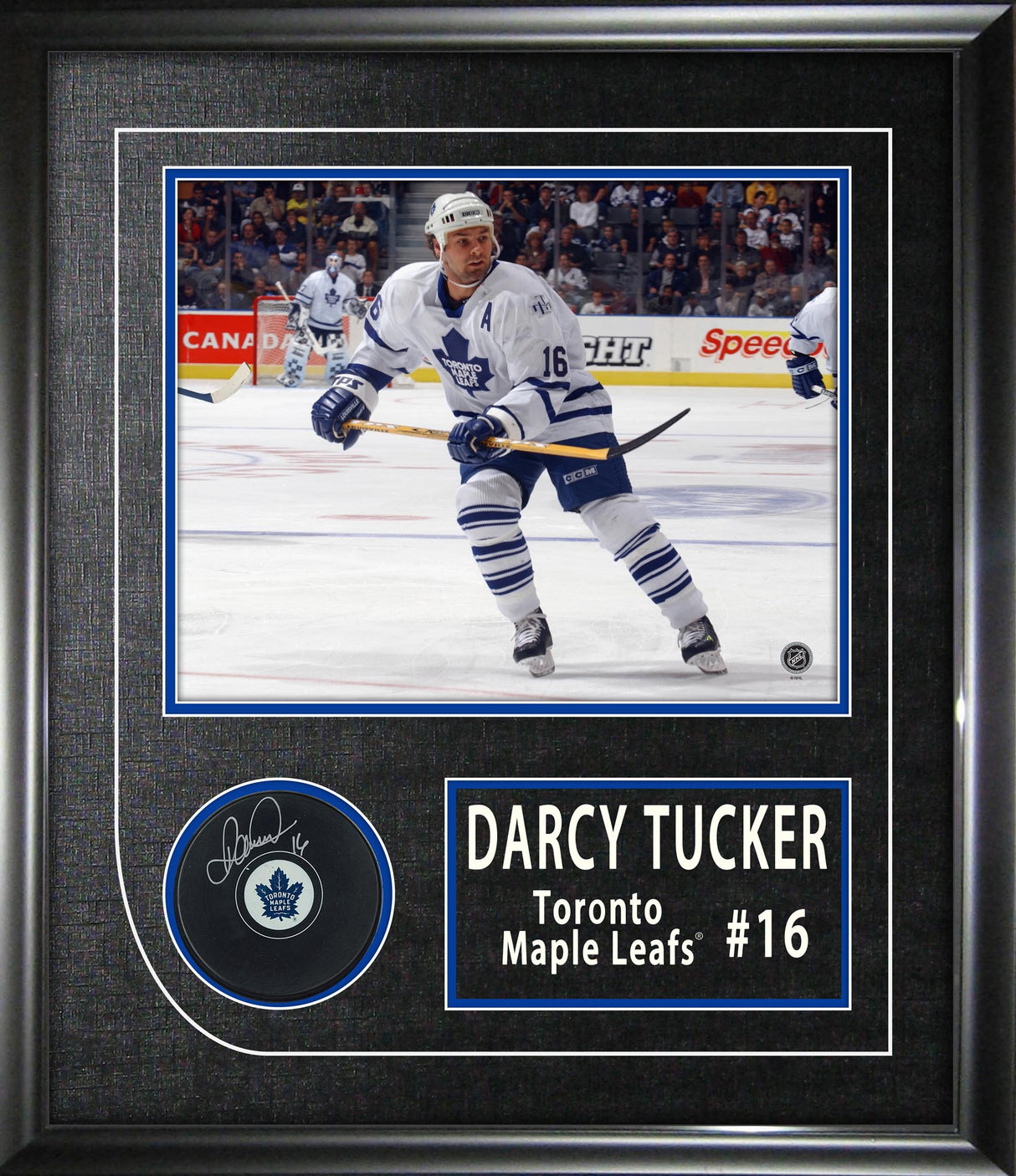Darcy Tucker Signed Puck Framed 17x19.5" Toronto Maple Leafs