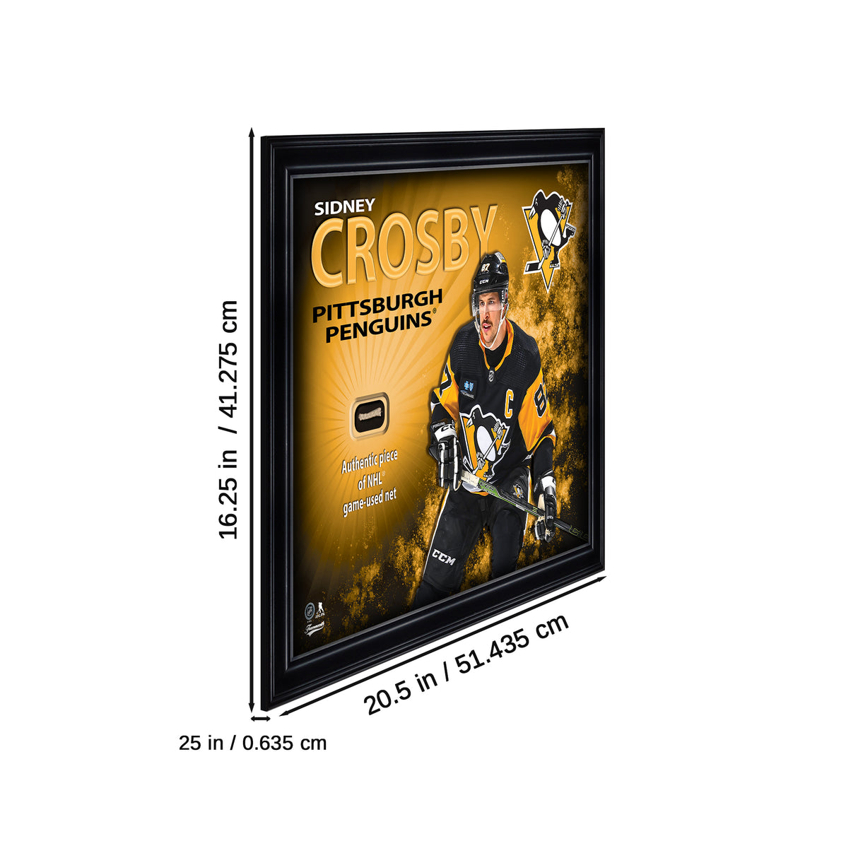 Sidney Crosby 16x20 Photo Frame with Game-Used Net - Pittsburgh Penguins