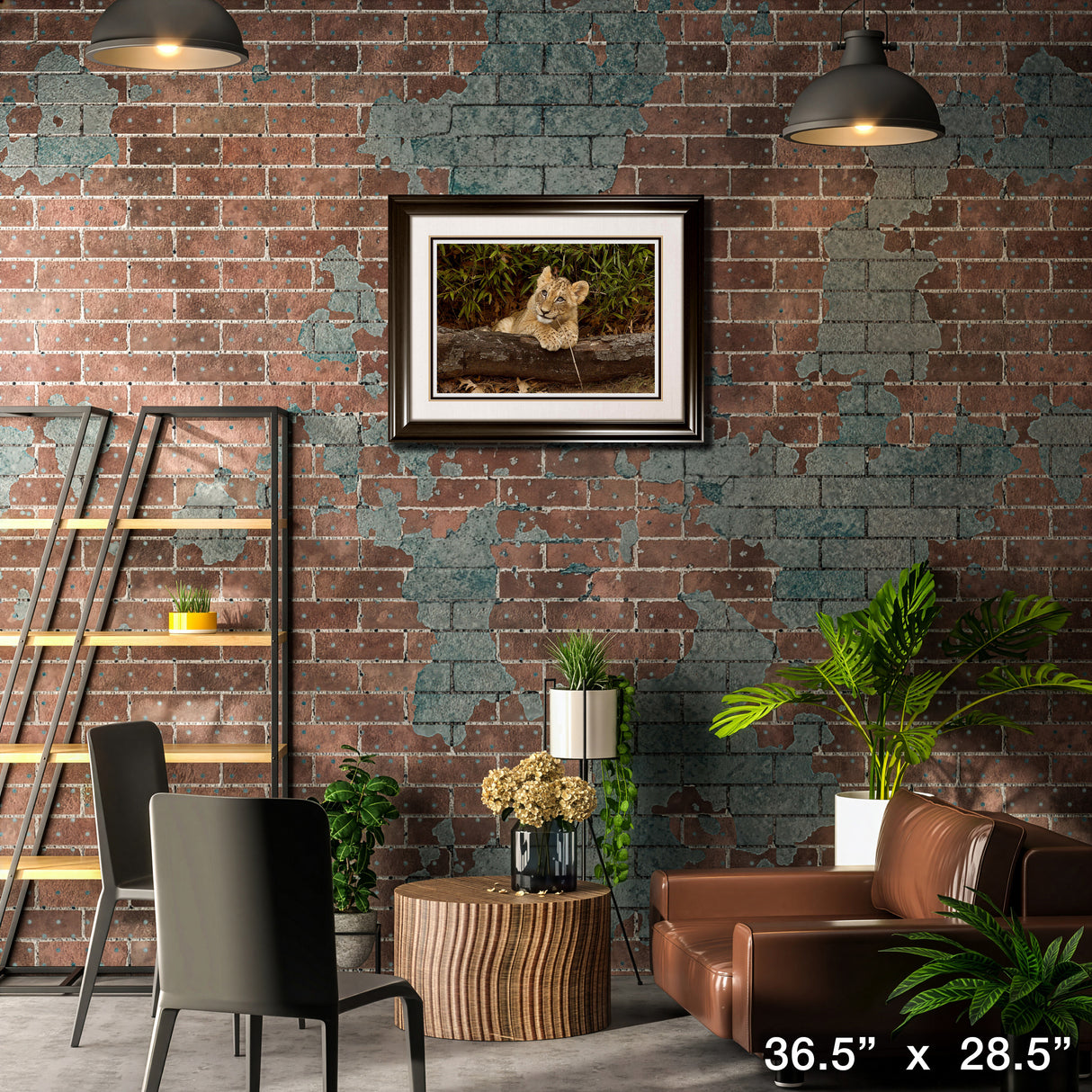 Lion Cub Framed Print – Lifestyle – Frameworth