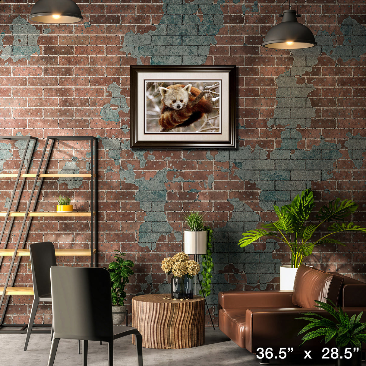 Red Panda Framed Print – Lifestyle – Frameworth