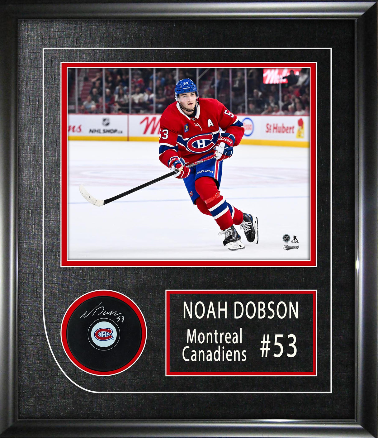 Noah Dobson Signed Puck Framed 17x19.5" Montreal Canadiens Autograph Series - AUCTION