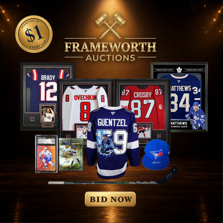 Frameworth Auctions - Ends July 22 9PM ET (mobile)