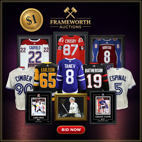 Frameworth Auction 43 banner (mobile)