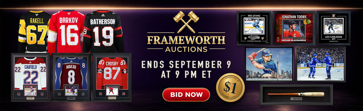Frameworth Auction 43 banner (desktop)