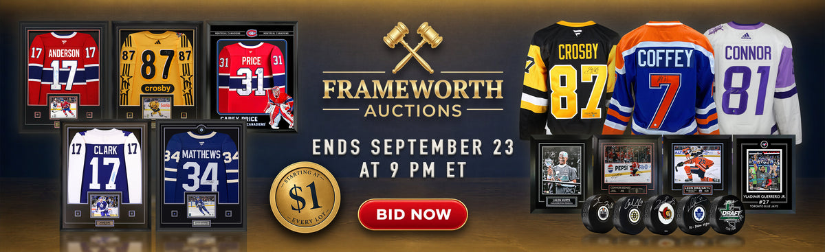Frameworth Auction 45 banner (desktop)