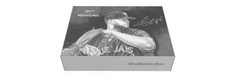 Toronto blue jays mystery box