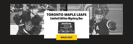 toronto maple leafs mystery box