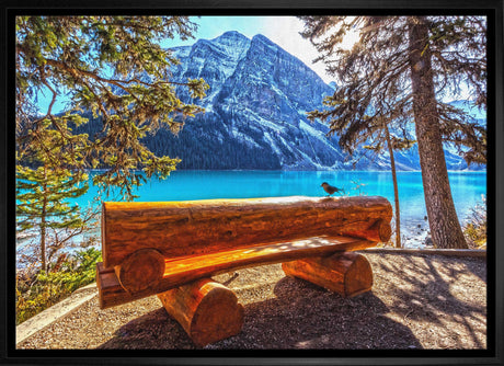 Banff National Park 20x29 Framed Canvas - Frameworth Sports Canada 