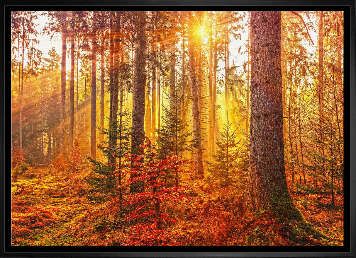 Golden Forest 20x29 Framed Canvas