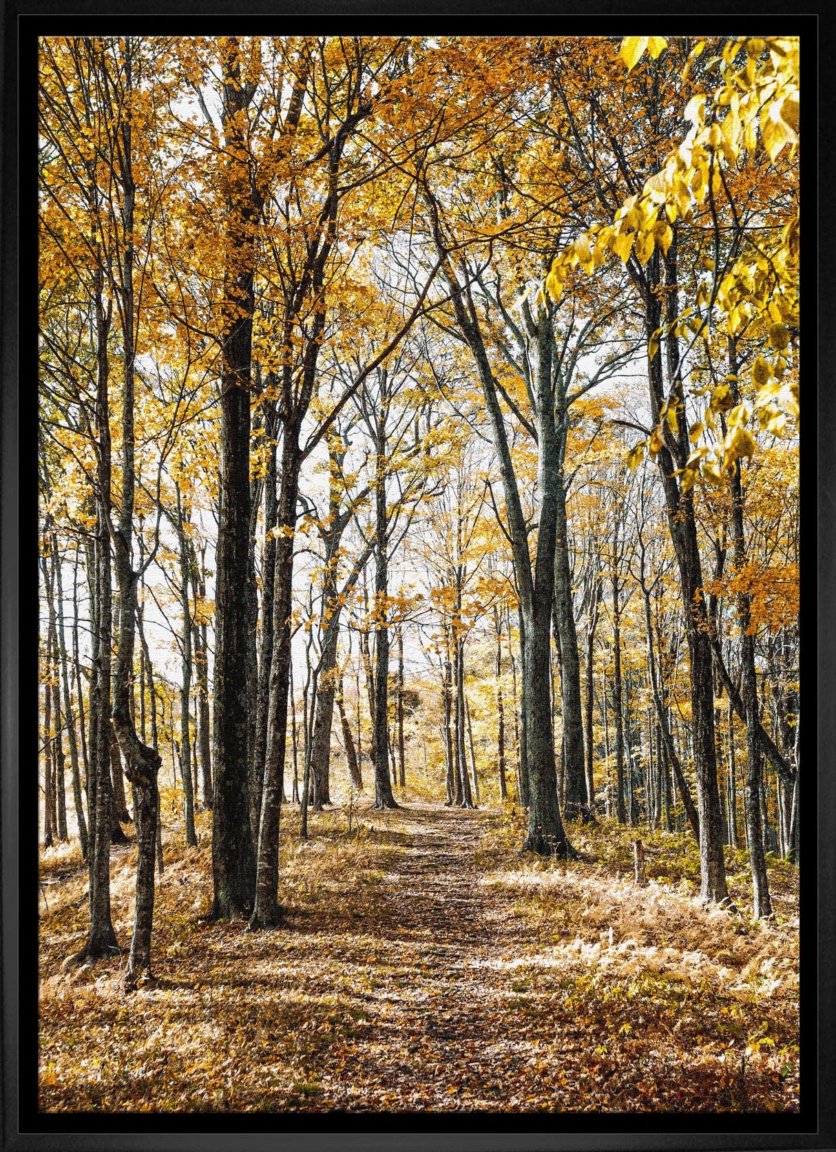 Autumn Leaves 20x29 Framed Canvas - Frameworth Sports Canada 