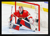 Sergei Bobrovsky 20x29 Framed Canvas Panthers