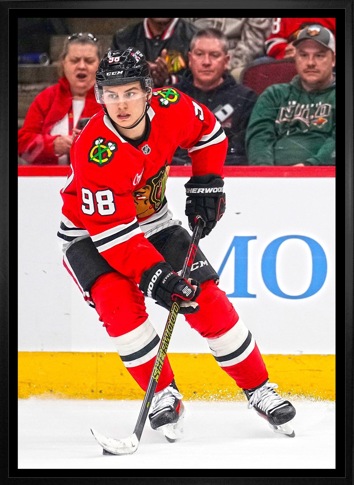 Connor Bedard 20x29 Framed Canvas Chicago Blackhawks