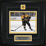 David Pastrnak Framed Pin & Plate Boston Bruins