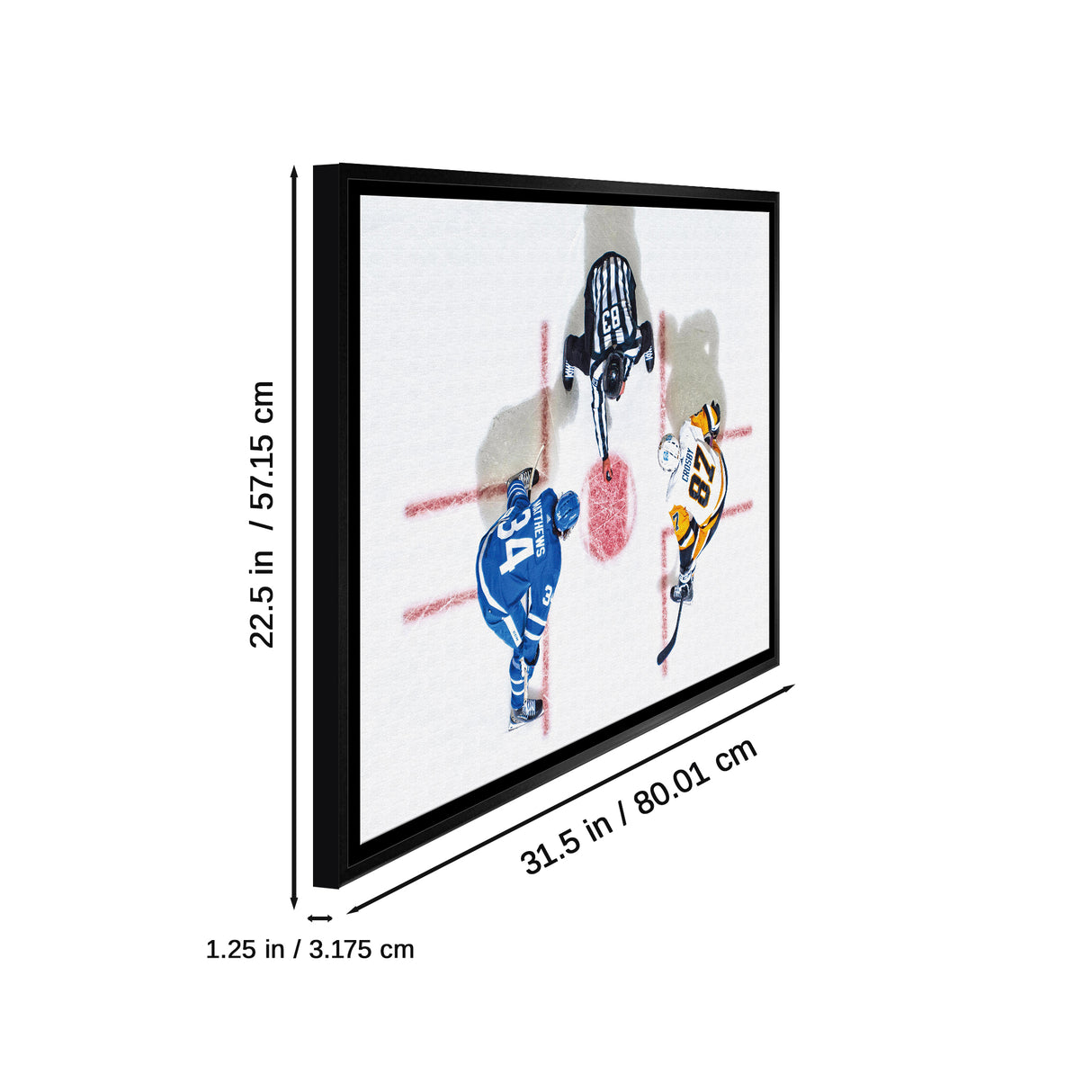 Sidney Crosby & Auston Matthews Framed 20x29 Overhead Canvas
