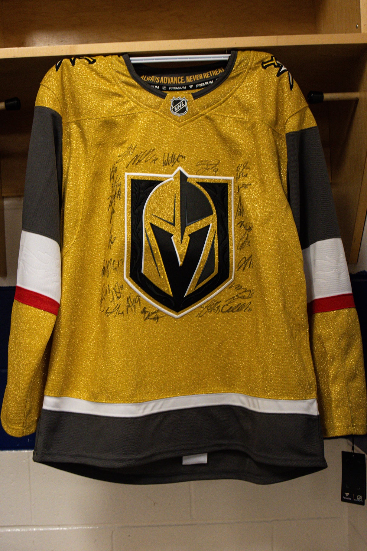 Vegas Golden Knights 2025-2026 Team Signed Fanatics Premium Jersey (24 Autographs) - AUCTION