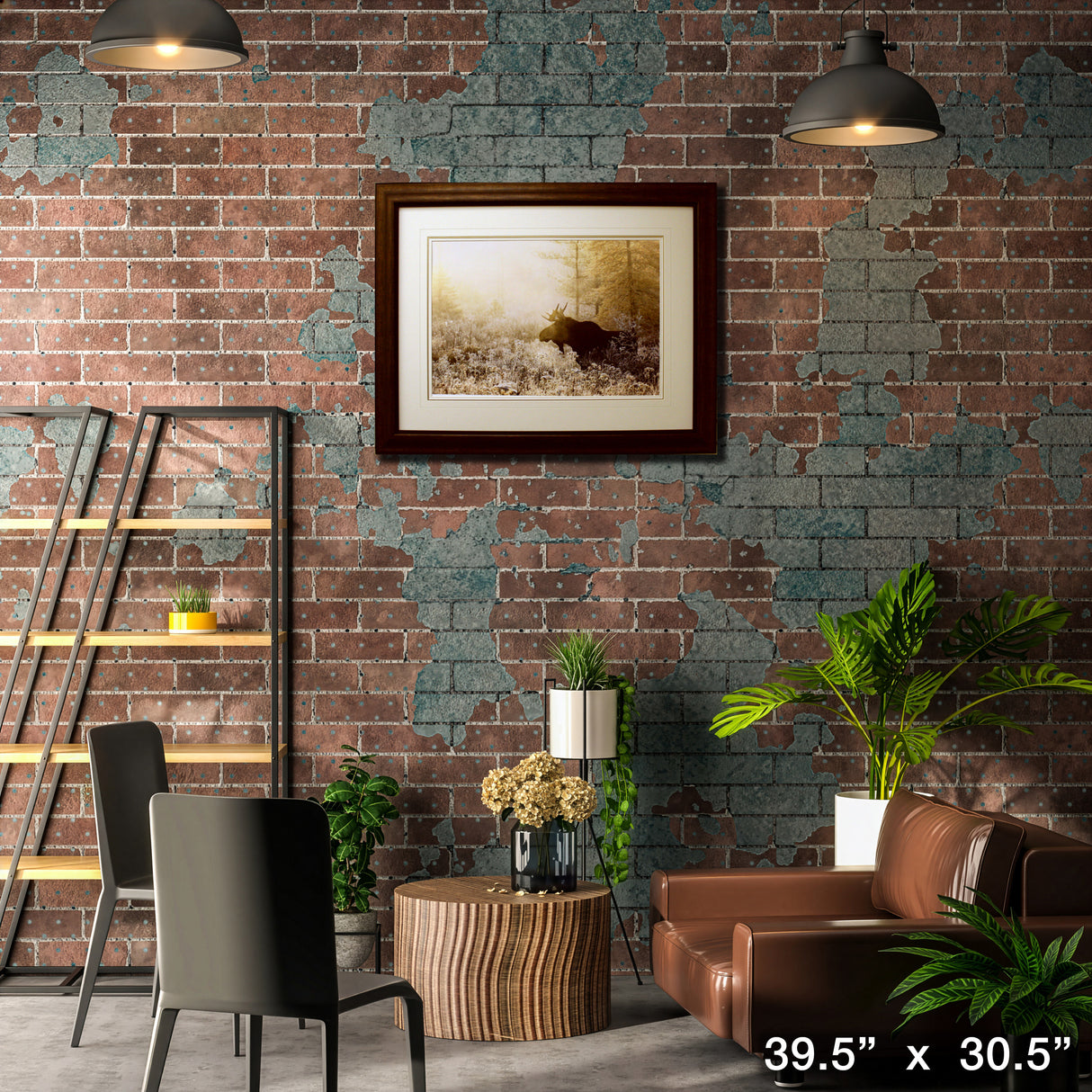 Algonquin Moose Framed By Andrew Collett – Lifestyle – Frameworth