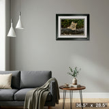 Lion Cub Framed Print – Detail – Frameworth
