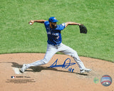 Seranthony Dominguez Signed Toronto Blue Jays 8x10 Action