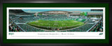 Saskatchewan Roughriders Panorama First Game at Mosaic 2017 Framed