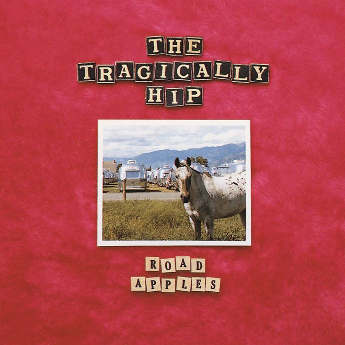 The Tragically Hip Album Cover 12x12 Plaque Road Apples