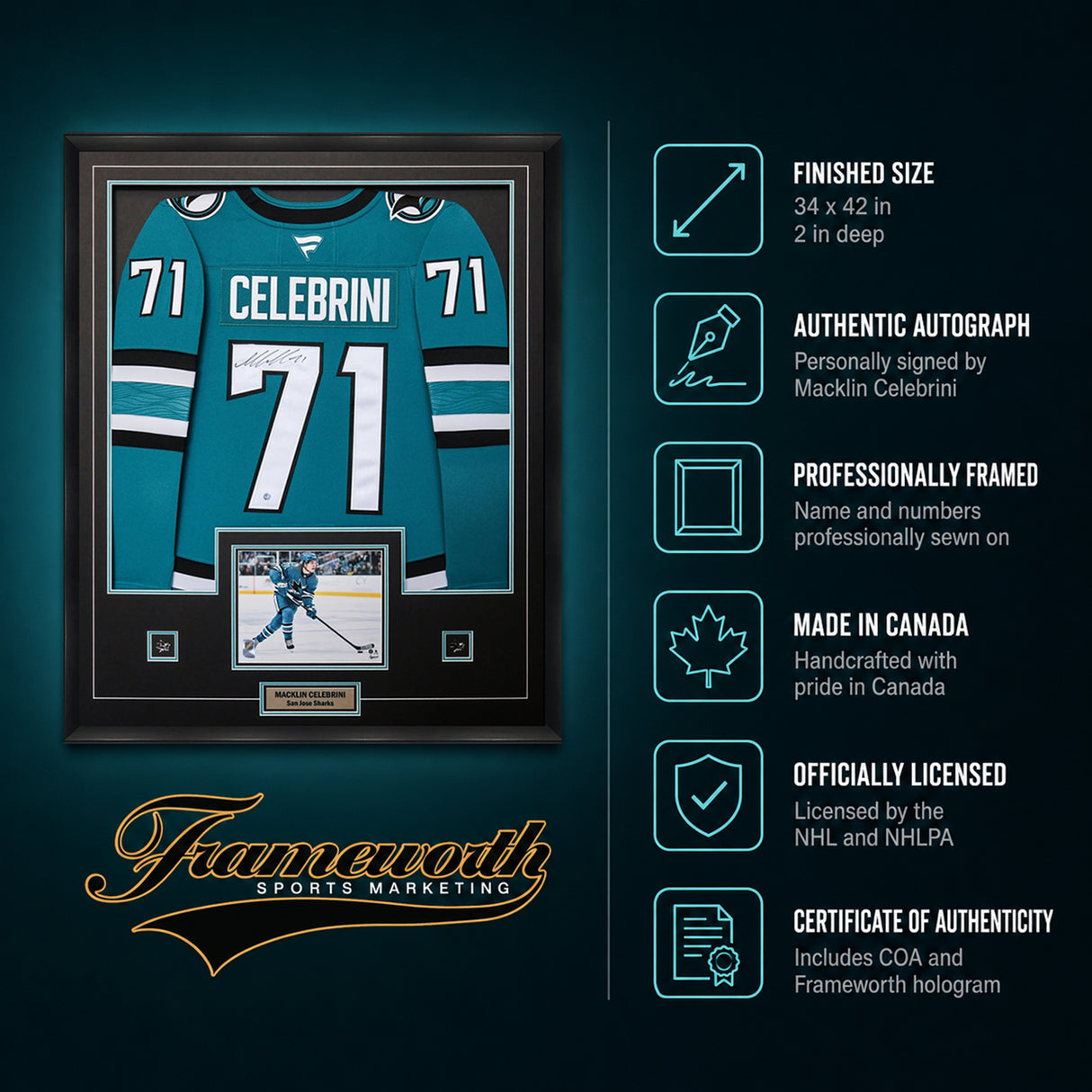 Macklin Celebrini Signed Framed 34x42 San Jose Sharks Home Fanatics Premium Jersey