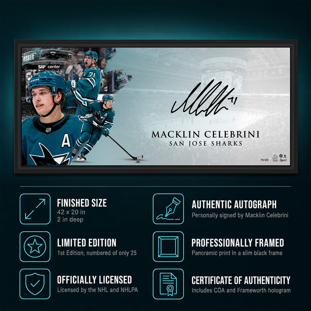 Macklin Celebrini Signed 18x40 Print Framed San Jose Sharks Oversize Autograph 1st Edition (Limited Edition of 25)