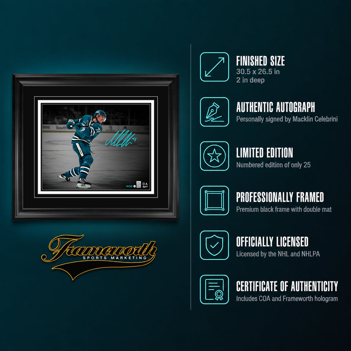 Macklin Celebrini Signed 16x20 Print Framed San Jose Sharks Action Shot (Limited Edition of 25)