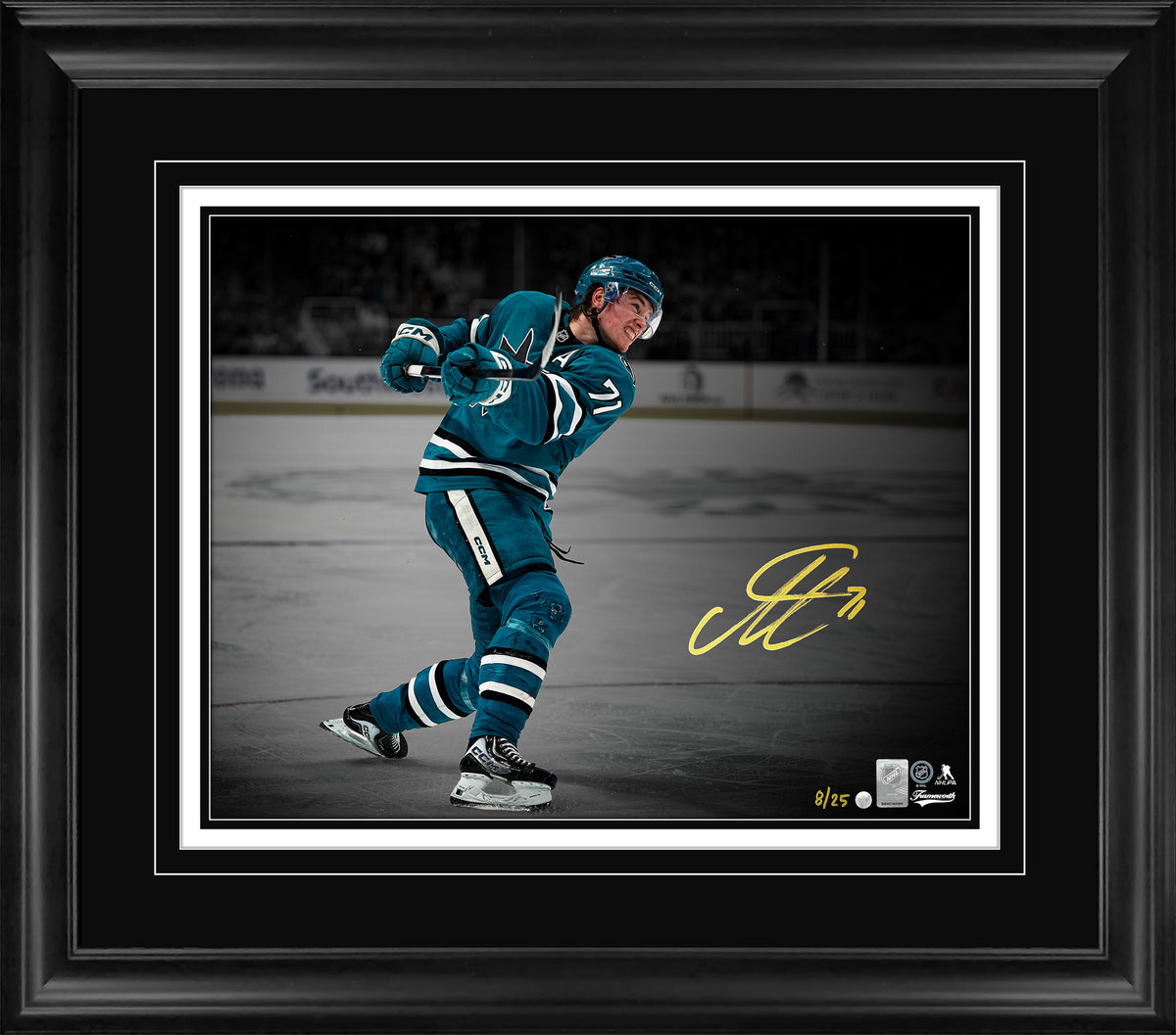 Macklin Celebrini Signed 16x20 Print Framed San Jose Sharks Action Shot (Limited Edition of 25)