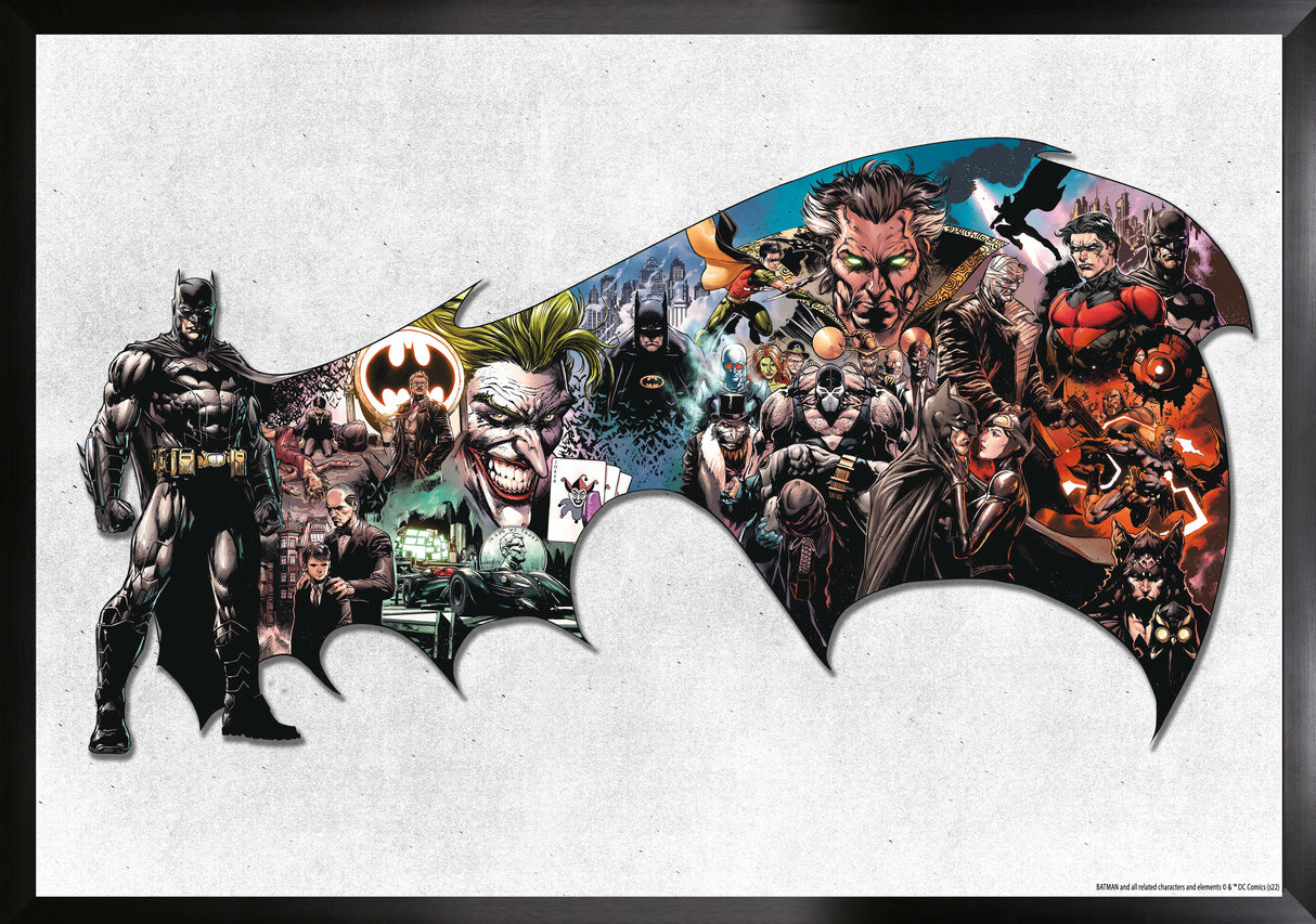 Batman Framed Cape Character Collage