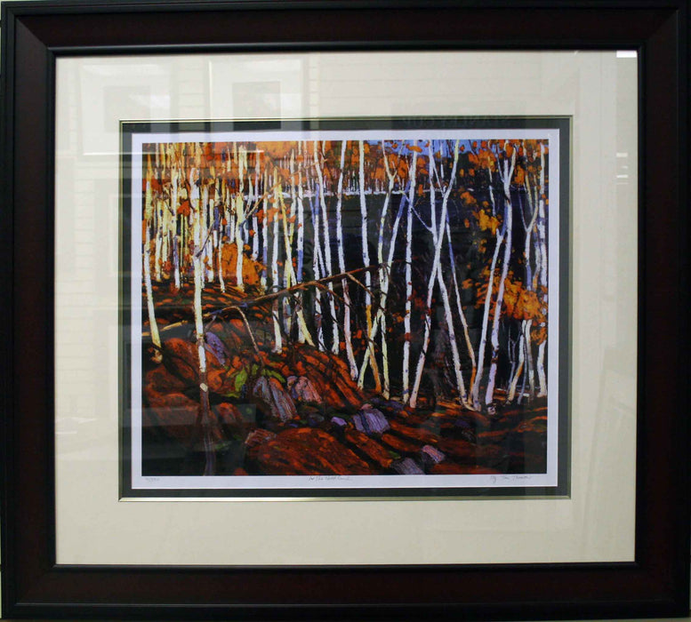 In The Northland Framed By Tom Thomson