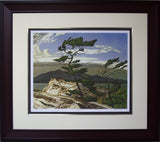 White Pine Framed By Aj Casson - Frameworth Sports Canada 