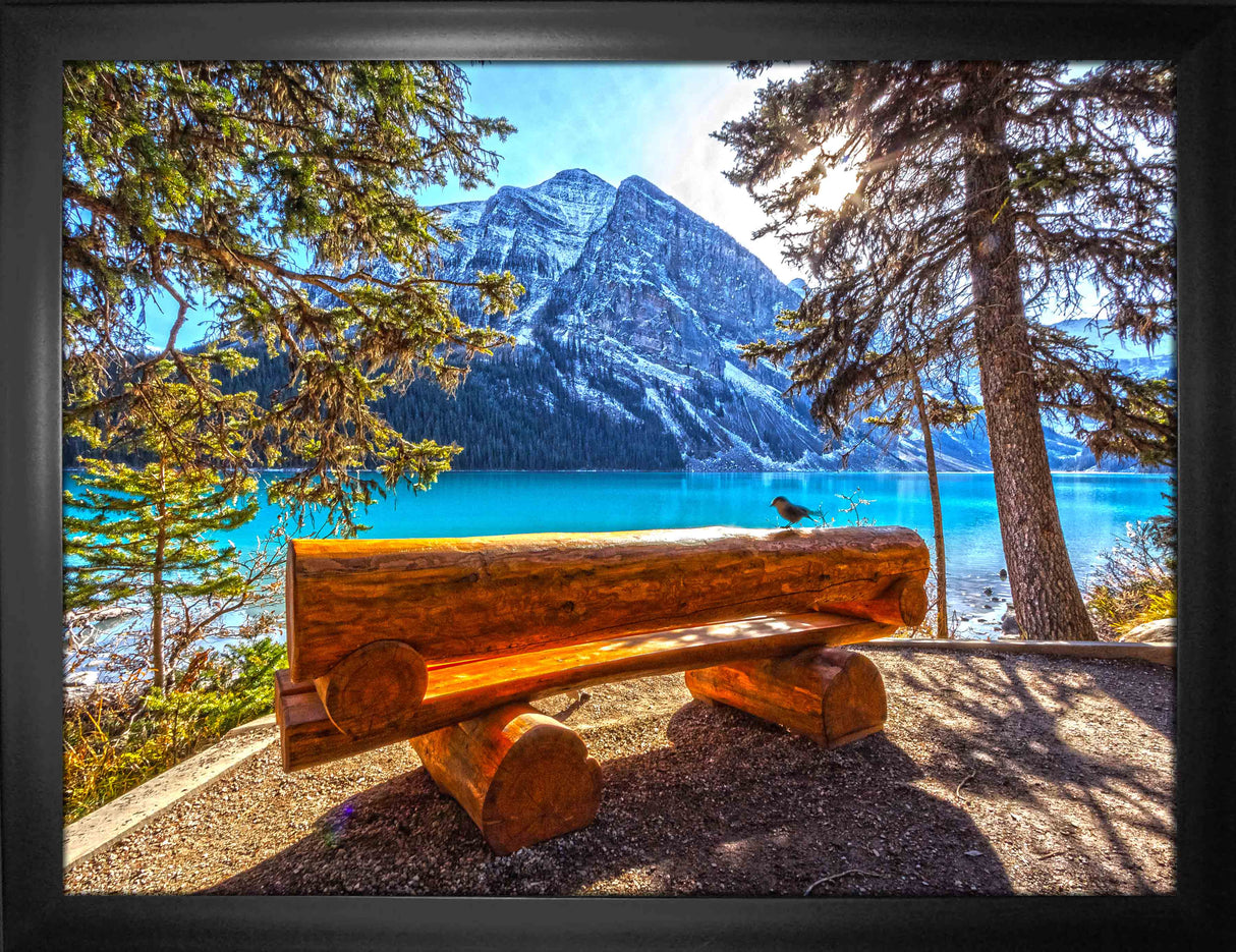 Banff National Park, Canada 24x32 Framed Canvas Nature View - Frameworth Sports Canada 