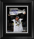 2016 Cup Hoist