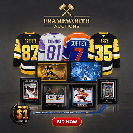 Frameworth Auction 45 banner (mobile)