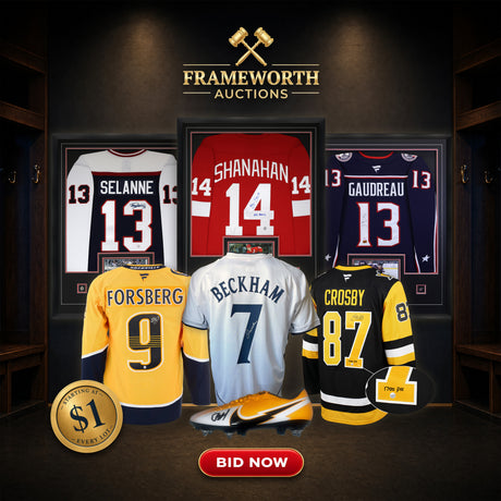 Frameworth Auctions