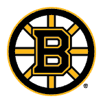 Boston Bruins