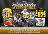Sidney Crosby Mystery Box